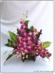 Send basket of exquisite purple phalaenopsis orchid, the color once reserved for kings and queens, and your special someone will feel like royalty. It is a luxurious way to celebrate a wide variety of occasions. Or just to say ""I miss you"".