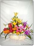 Beautifully arranged in a handle basket, they are a great gift to celebrate any occasion with style - Birthdays, Anniversaries, Congratulations or just thinking of you.